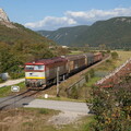 751.199 Vidová
