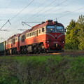 2M62M-0672 Kariotiškės