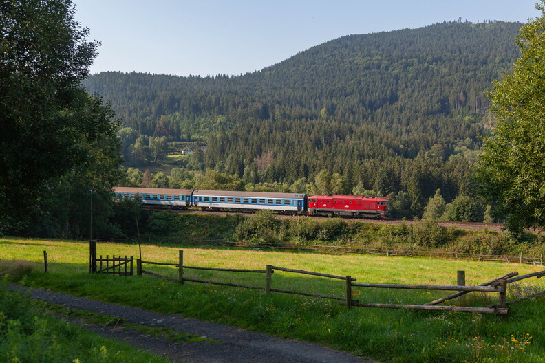 754.066 Brčálník