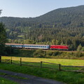 754.066 Brčálník