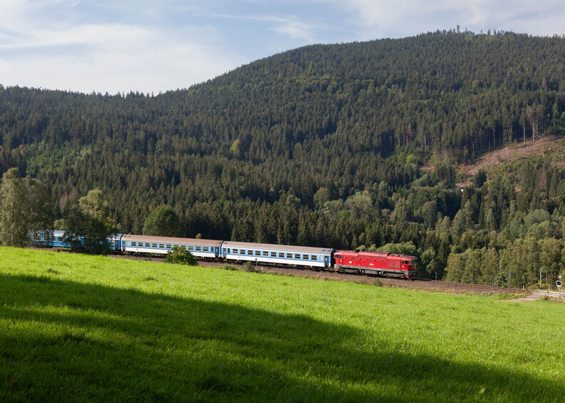 754.066 Brčálník